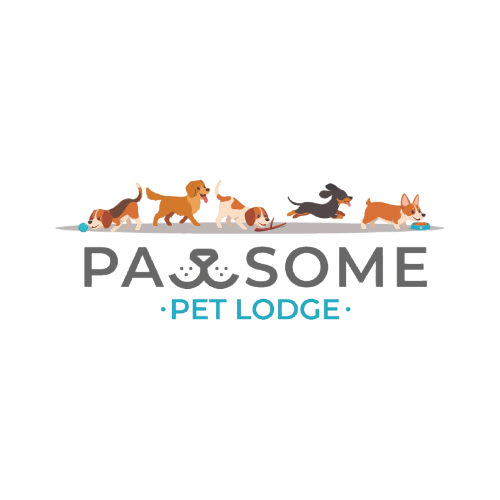 Pet Lodge in Pretoria with 24/7 care