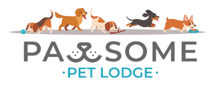 Pet Lodge in Pretoria with 24/7 care