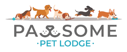 Pet Lodge in Pretoria with 24/7 care